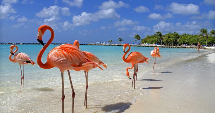 Isla Anguila
